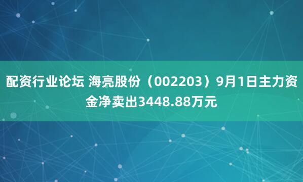 配资行业论坛 海亮股份（002203）9月1日主力资金净卖出3448.88万元