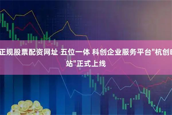 正规股票配资网址 五位一体 科创企业服务平台&#34;杭创E站&#34;正式上线