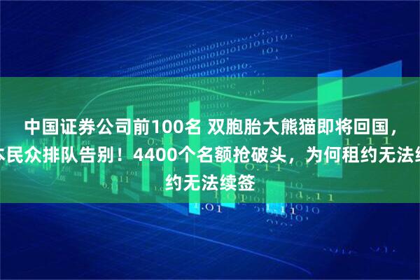 中国证券公司前100名 双胞胎大熊猫即将回国，日本民众排队告别！4400个名额抢破头，为何租约无法续签